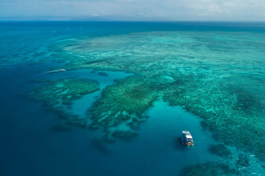 Cairns: Outer and Coral Cay Snorkel and Dive Cruise - Six hours on the reef makes the difference