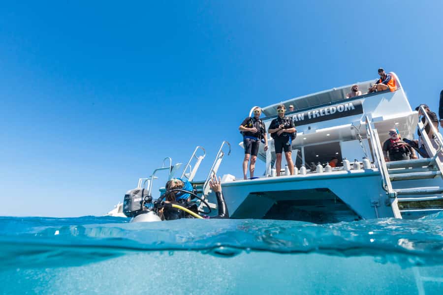 Cairns: Outer and Coral Cay Snorkel and Dive Cruise - What is included and what costs extra