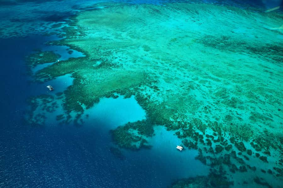 Cairns: Outer Edges of The Great Barrier Reef Scenic Flight - Key points to know before you fly