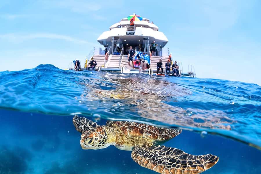 Cairns: Outer Great Barrier Reef Full-Day Tour with Lunch - Why two reef sites matter on a full-day trip