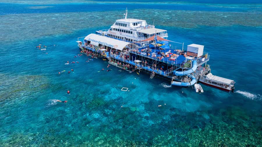 Cairns: Outer Great Barrier Reef Pontoon with Activities - Key points to know before you book