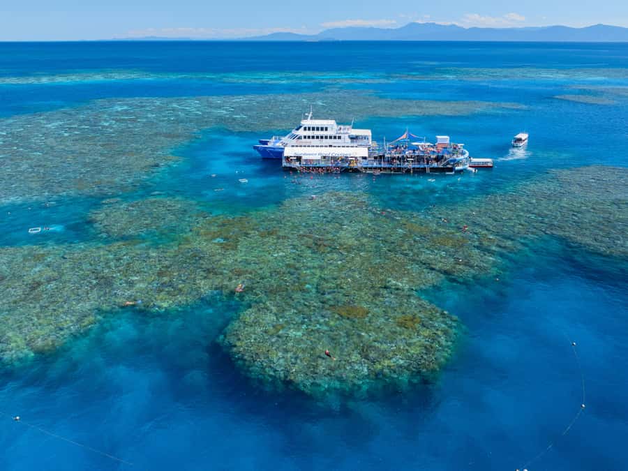 Cairns: Outer Great Barrier Reef Pontoon with Activities - Moore Reef gives you more than one way to see the reef