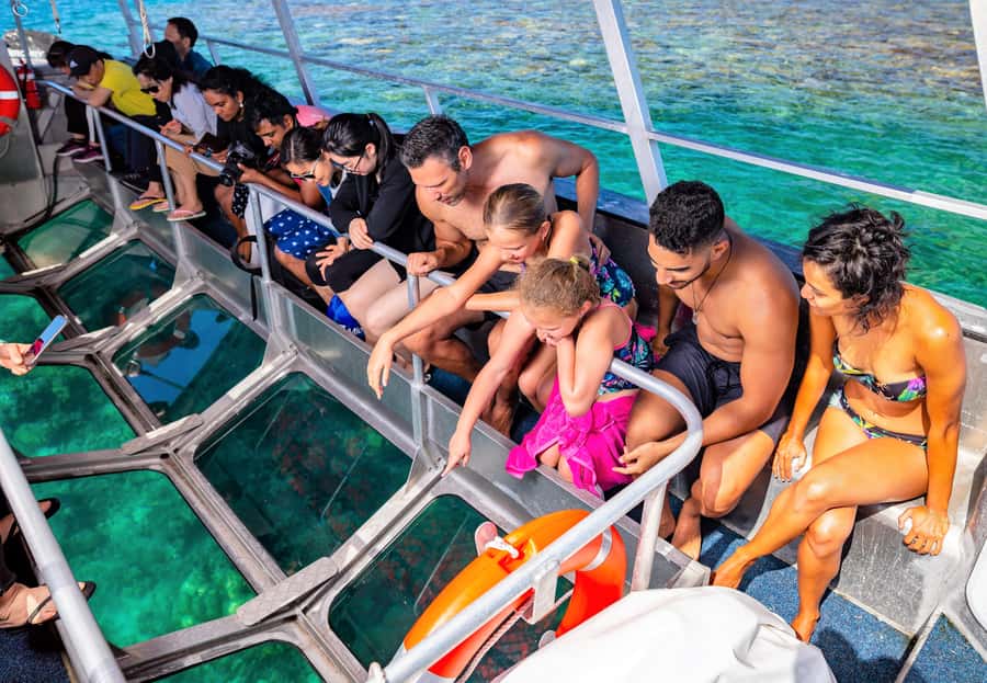 Cairns: Outer Great Barrier Reef Pontoon with Activities - Glass-bottom and semi-sub tours help non-swimmers