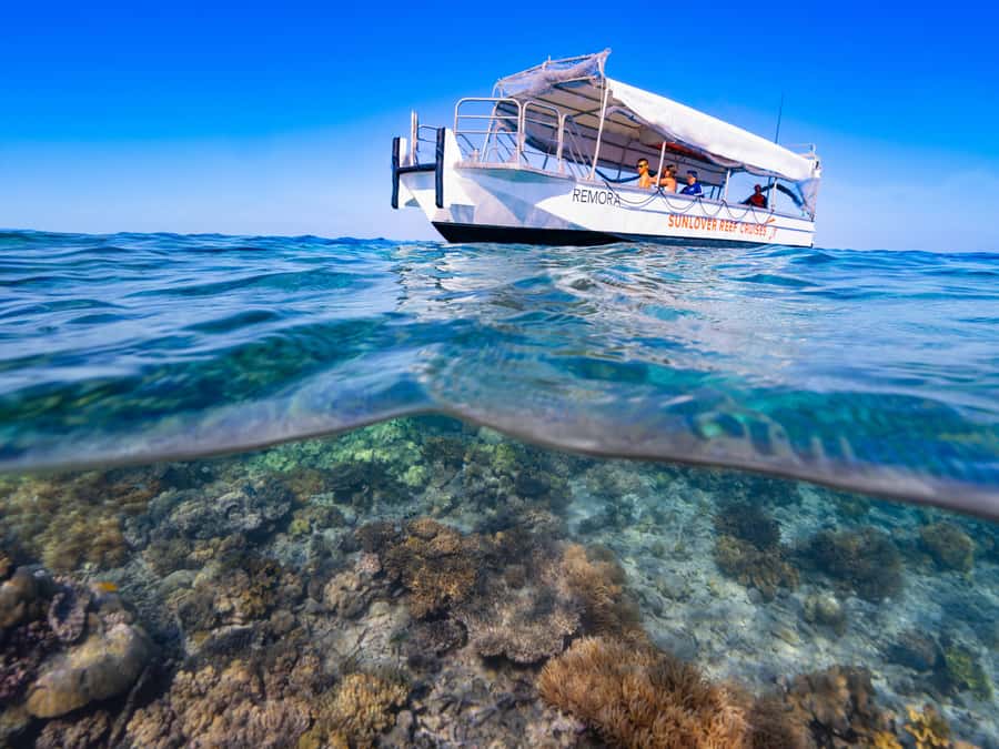 Cairns: Outer Great Barrier Reef Pontoon with Activities - Optional upgrades can change the price quickly