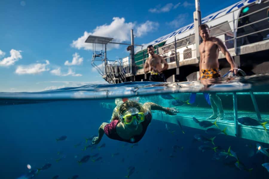 Cairns: Outer Great Barrier Reef Pontoon with Activities - Start early at Reef Fleet Terminal