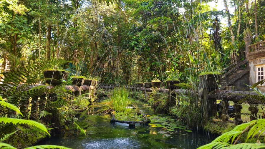 Cairns: Paronella, Lake Barrine & Millaa Millaa Falls Tour - Why this long North Queensland day works