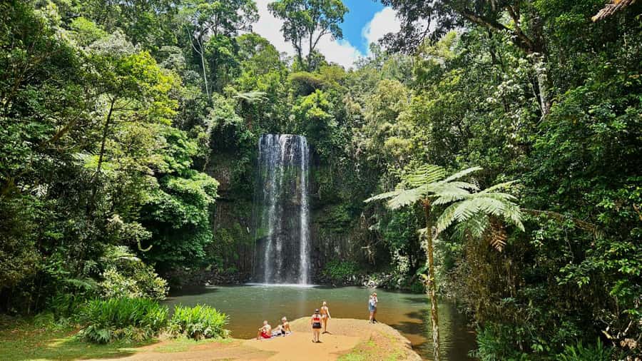 Cairns: Paronella, Lake Barrine & Millaa Millaa Falls Tour - Yungaburra and the giant Curtain Fig Tree