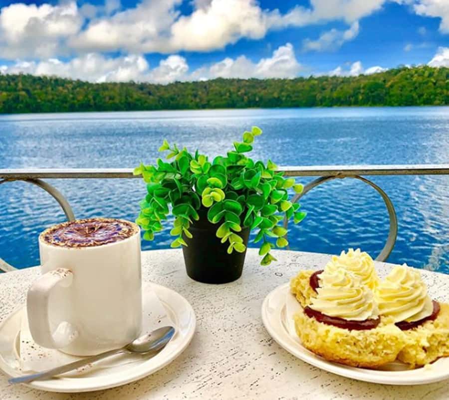 Cairns: Paronella, Lake Barrine & Millaa Millaa Falls Tour - Paronella Park, castles in the rainforest