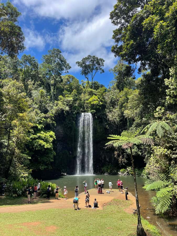 Cairns: Paronella, Lake Barrine & Millaa Millaa Falls Tour - Transport, guides, and the realities of a 10-hour day