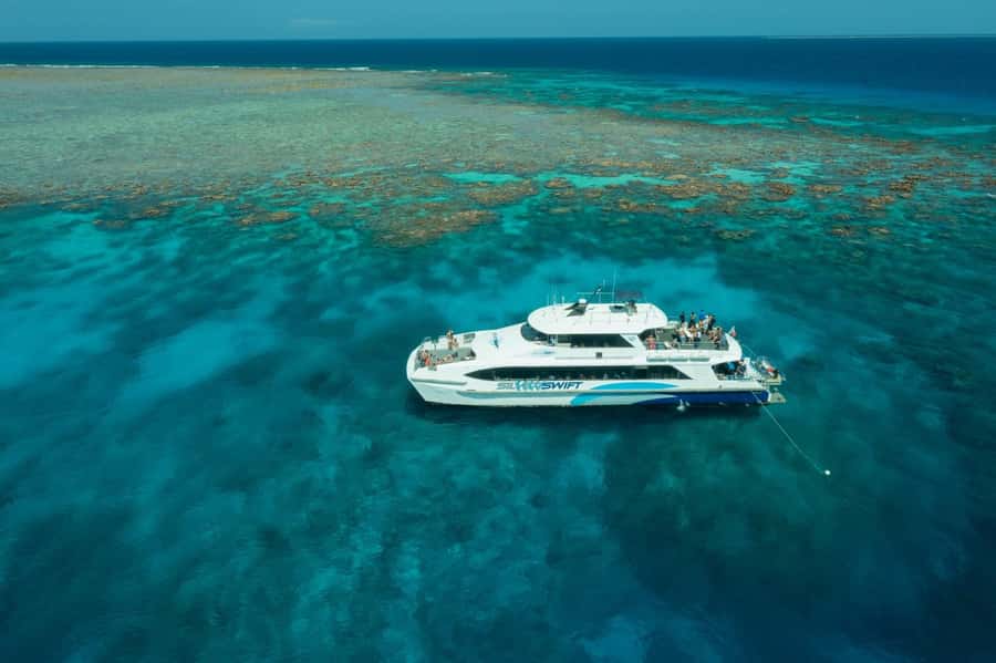 Cairns: Silverswift 3 Great Barrier Reef Sites in 1 Day - Why three reef sites matter