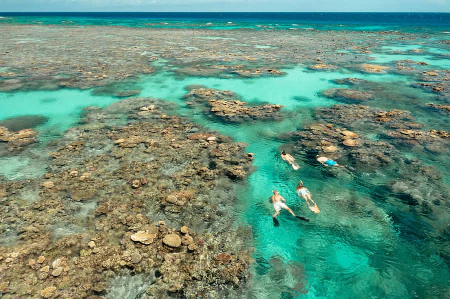 Cairns: Silverswift 3 Great Barrier Reef Sites in 1 Day - First reef session: get comfortable in the water