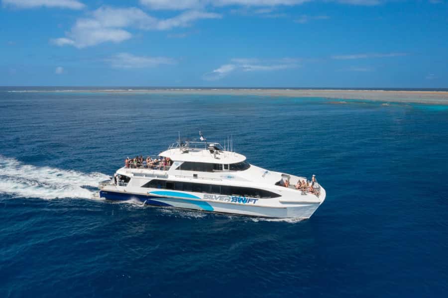 Cairns: Silverswift 3 Great Barrier Reef Sites in 1 Day - Second site and lunch: a practical midday break