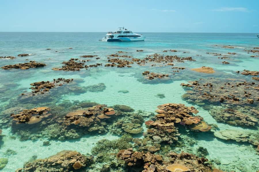 Cairns: Silverswift 3 Great Barrier Reef Sites in 1 Day - Who should choose Silverswift