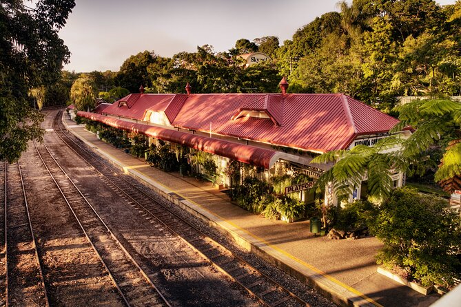 Cairns Small-Group Kuranda Tour: Skyrail & Scenic Railway - What the $186.48 price buys you