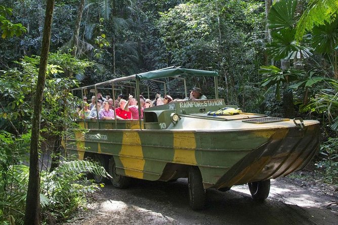 Cairns Small-Group Kuranda Tour: Skyrail & Scenic Railway - Skyrail over the rainforest canopy