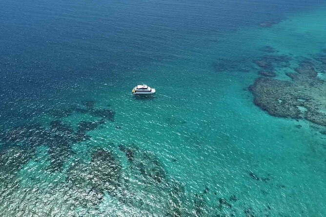 Cairns: Small Group | Outer Reef Snorkel & Dunk Island - What the 4.9 rating means in practical terms