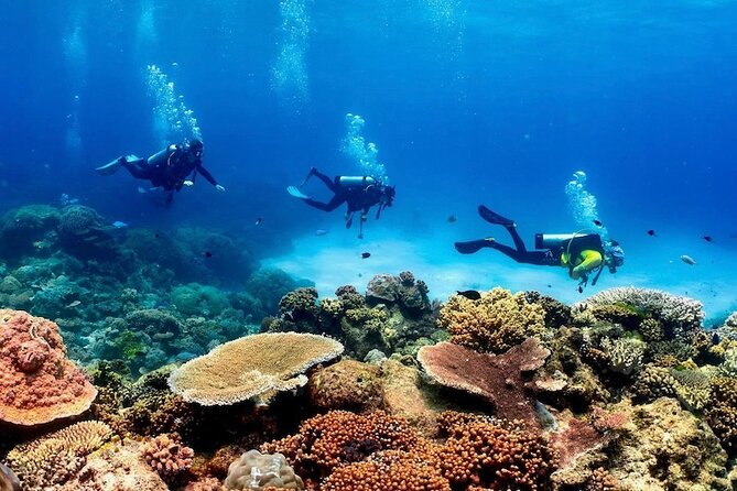 Cairns: Tandem Skydive Experience over Reef & Rainforest - Weather, timing, and the practical risks