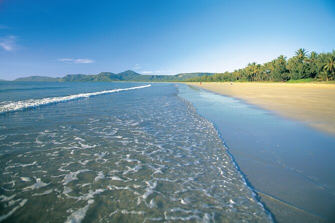 Cairns to Port Douglas ONE WAY Private Transfer 6 pax - Why the private vehicle can be good value