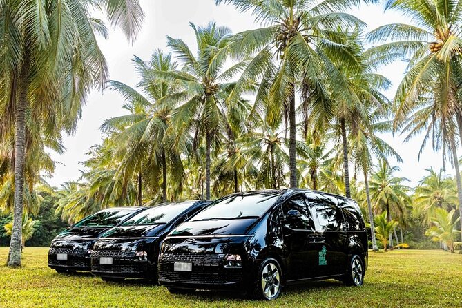 Cairns to Port Douglas ONE WAY Private Transfer 6 pax - Luggage, seating, and group size