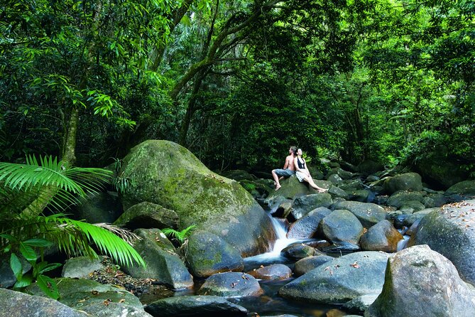 Cairns to Port Douglas ONE WAY Private Transfer 6 pax - The return trip from Port Douglas