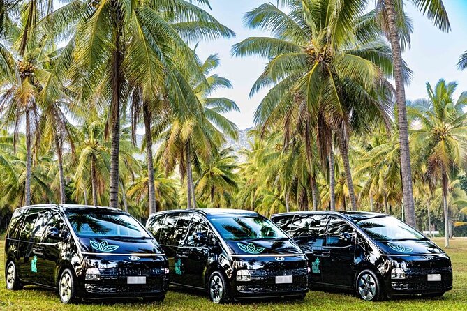 Cairns to Port Douglas ONE WAY Private Transfer 6 pax - The practical limits of a direct transfer