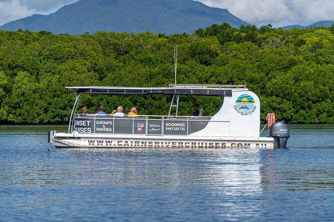 Cairns Trinity Inlet Sightseeing Safari - Mangroves, birds, and the chance of a crocodile