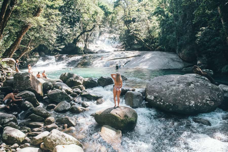 Cairns: Waterfall and Daintree Rainforest Tour - 2 Day Tours - Two very different days from Cairns