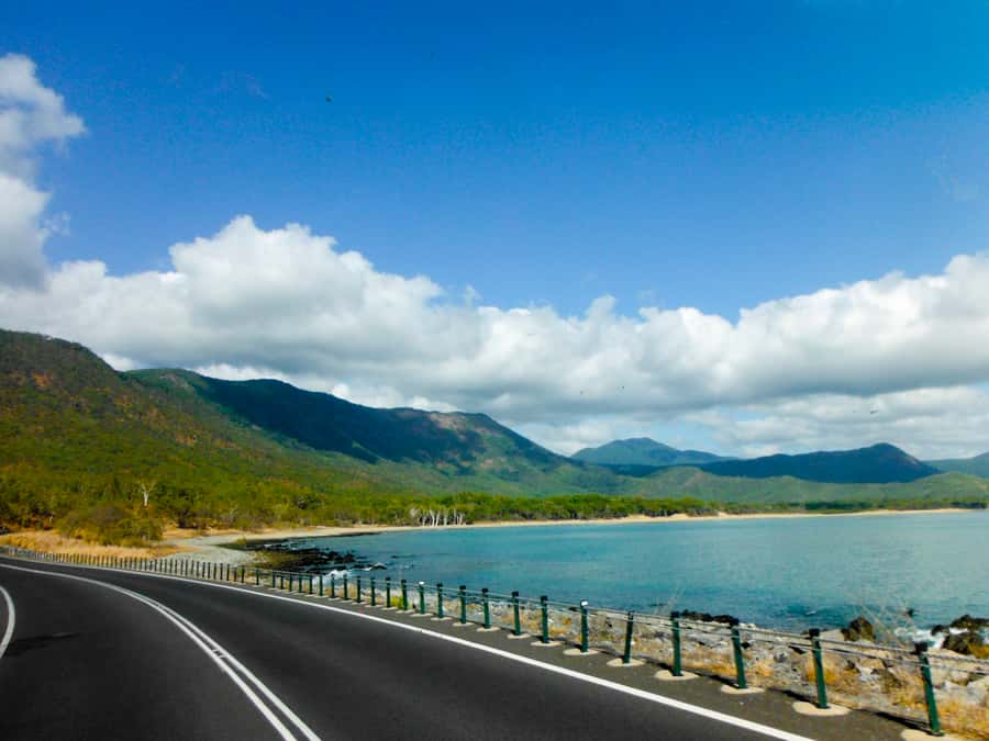 Cairns: Waterfall and Daintree Rainforest Tour - 2 Day Tours - Millaa Millaa Falls and the Cathedral Fig Tree