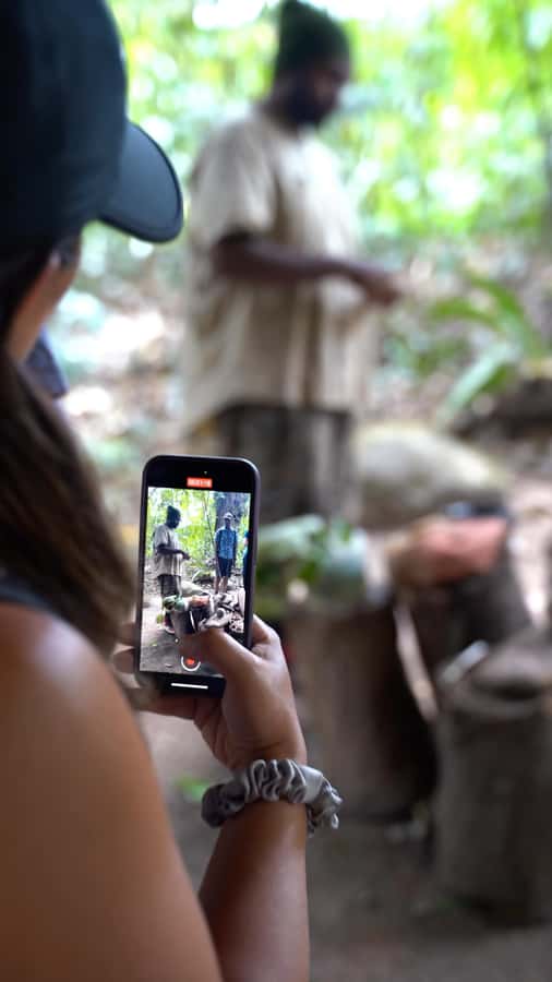 Cairns: Waterfall and Daintree Rainforest Tour - 2 Day Tours - Daintree River wildlife cruise