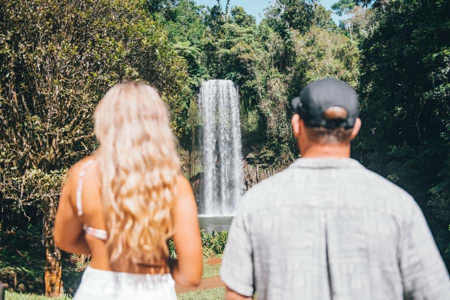 Cairns: Waterfall and Daintree Rainforest Tour - 2 Day Tours - Cape Tribulation and rainforest meeting reef