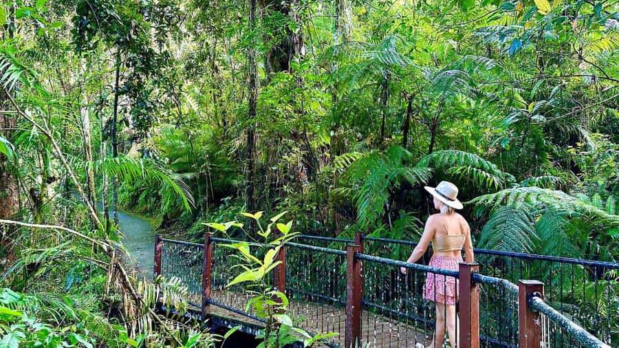 Cairns: Waterfall Tour with Lunch - A calm start at Lake Eacham