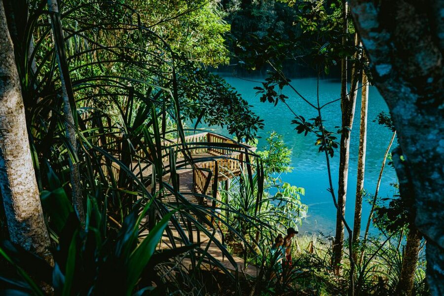 Cairns: Waterfall Tour with Lunch - Babinda Boulders and the cultural stories