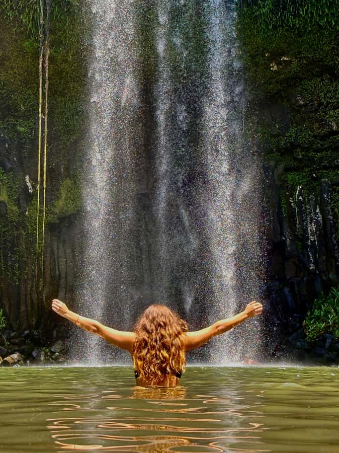 Cairns: Waterfall Tour with Lunch - Beneath the Cathedral Fig Tree