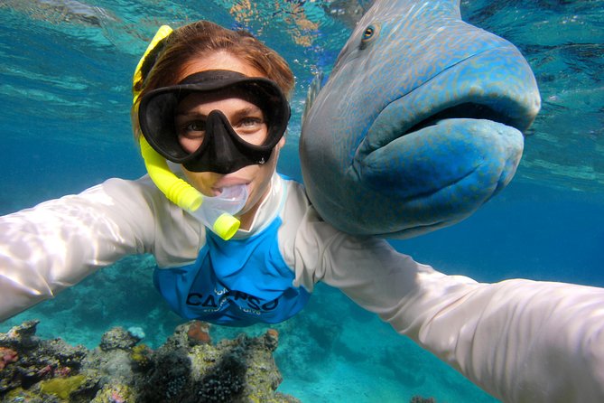 Calypso Outer Great Barrier Reef Cruise from Port Douglas - Second site: guided snorkeling and lunch