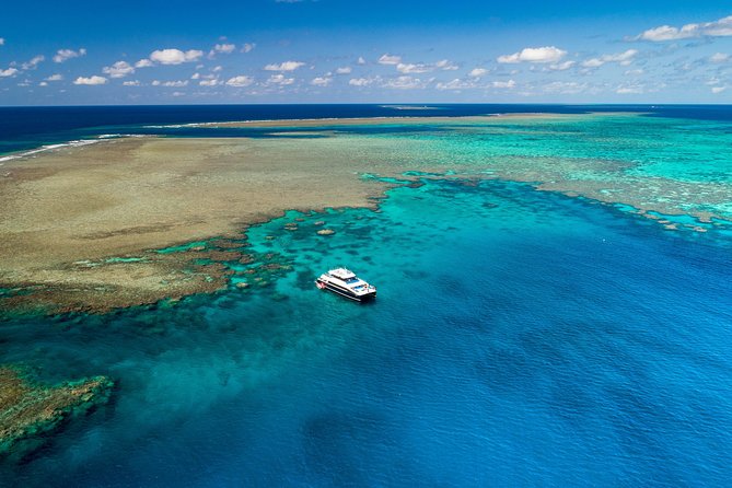 Calypso Outer Great Barrier Reef Cruise from Port Douglas - The reef talk adds context, with limits