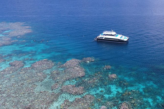 Calypso Outer Great Barrier Reef Cruise from Port Douglas - The ride out to Agincourt or Opal Reef