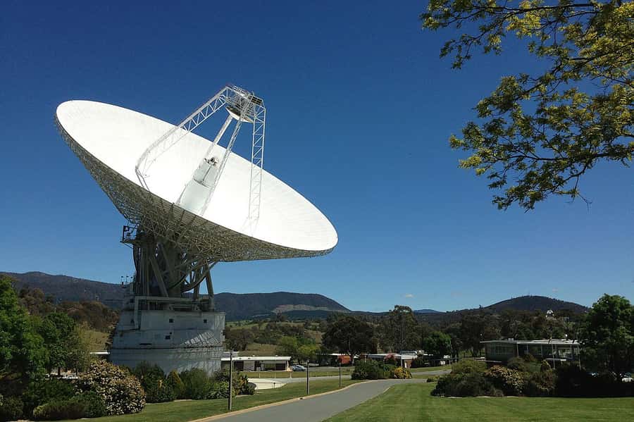 Canberra: Kangaroos and Koala Experience Tour - From Canberra hotels to Tidbinbilla