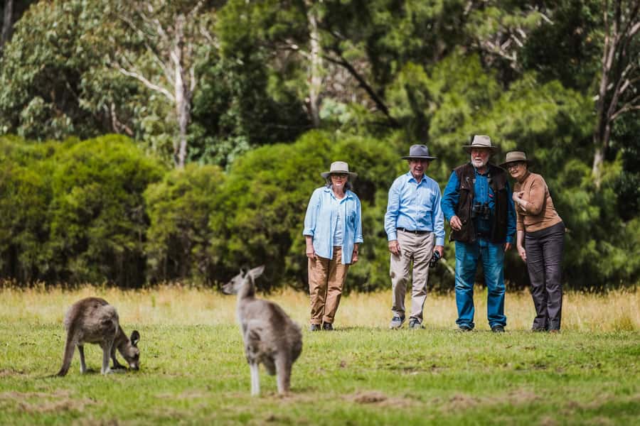 Canberra: Kangaroos and Koala Experience Tour - Australia’s space story at the tracking station