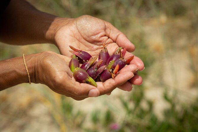 Cape Byron Aboriginal Tour - Rainforest, Cliffs, and Possible Wildlife