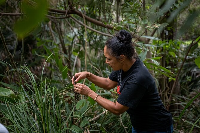 Cape Byron Aboriginal Tour - Is the Price Good Value?