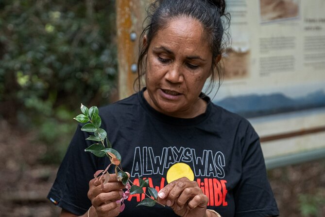 Cape Byron Aboriginal Tour - Who Should Book This Experience?
