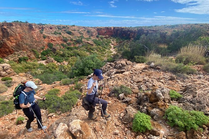 Cape Range National Park Full-Day Trekking Adventure - Mangrove Bay or one last dune view