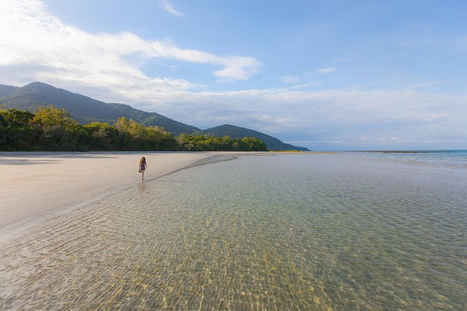 Cape Tribulation & Daintree Wilderness (TCT) - Crossing the Daintree River into rainforest country