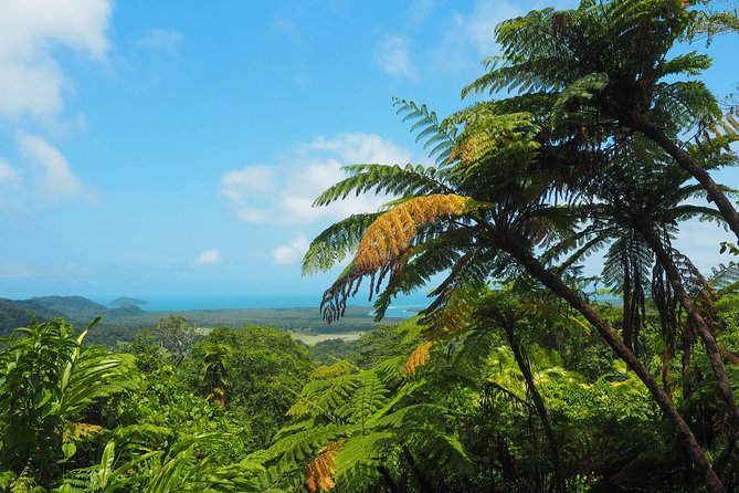 Cape Tribulation & Daintree Wilderness (TCT) - The Daintree River crocodile cruise