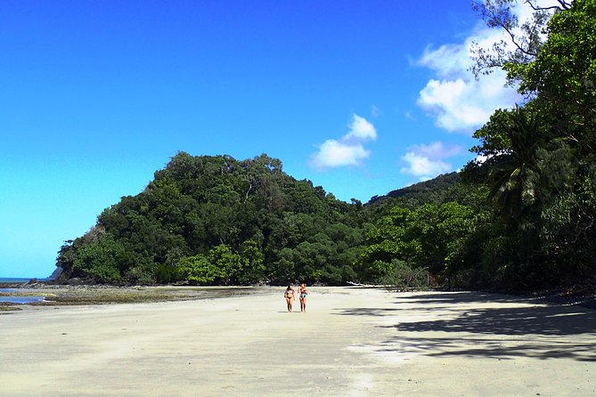Cape Tribulation Day Tour from Cairns - Why this is an easy way to reach Cape Tribulation