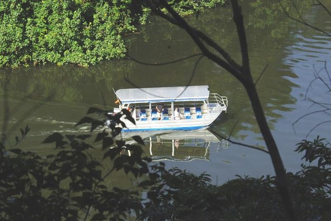 Cape Tribulation Day Tour from Cairns - The crocodile-spotting cruise