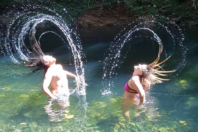 Cape Tribulation Day Tour from Cairns - Swimming in a Daintree freshwater creek