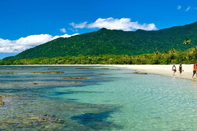 Cape Tribulation, Mossman Gorge and Daintree Rainforest Day Tour - The Daintree River wildlife cruise