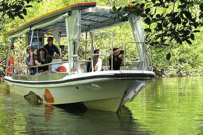 Cape Tribulation, Mossman Gorge and Daintree Rainforest Day Tour - Crossing the Daintree by cable ferry