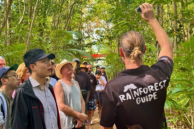 Cape Tribulation, Mossman Gorge, and Daintree Rainforest Day Trip - The guides shape the whole experience